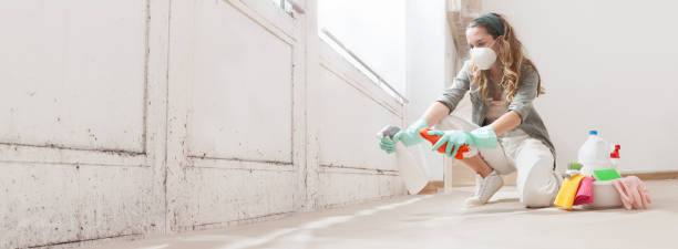 Mold Remediation for Rental Properties